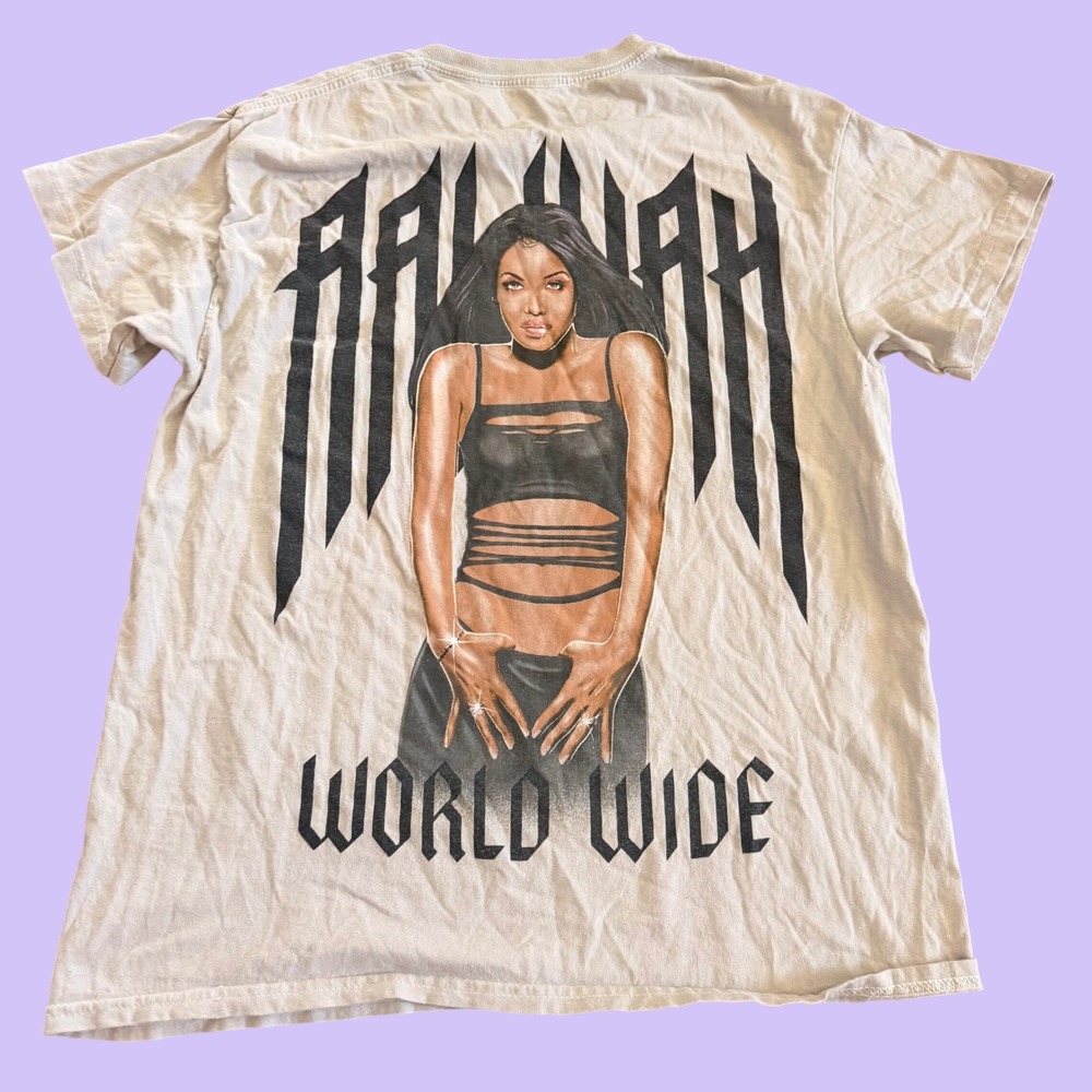 Vintage Aaliyah Mens Shirt Small Crew Neck Gray World Wide Tour Music Tee Grunge
